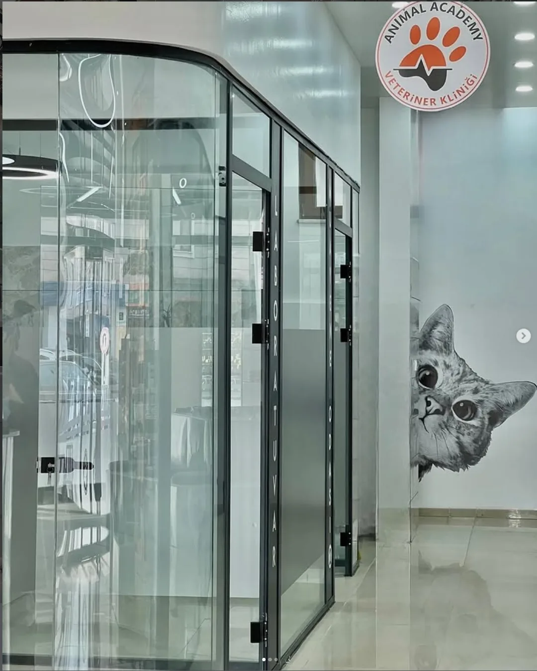 Animal Academy Veteriner Kliniği — iç mekân görseli 12