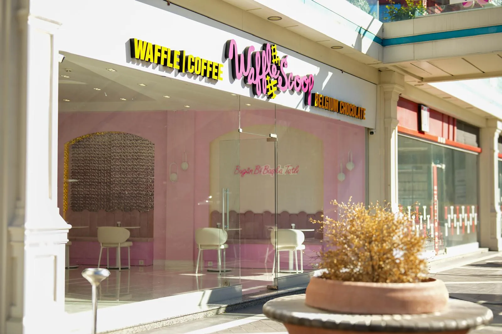 Waffle Scoop — iç mekân görseli 13